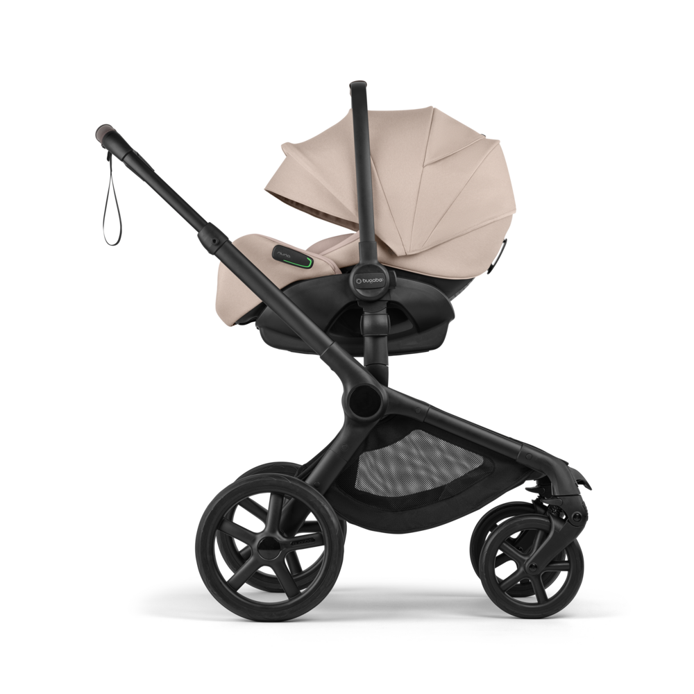 Bugaboo Otter auf dem Fox 5 Renew Kinderwagen