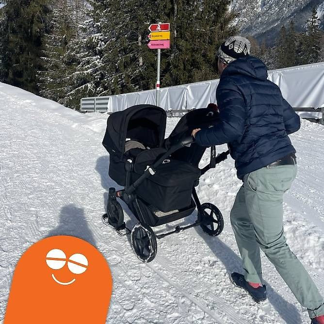 Nicon - Wheelblades XL (Paar): Swiss Made Skier für alle loopi Kinderwagen